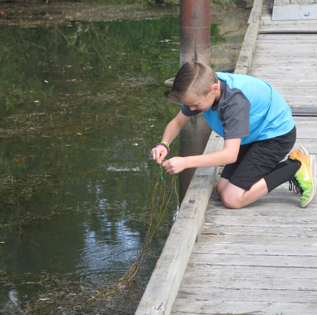 Boy fishing through weeds at sportsmans launch in May