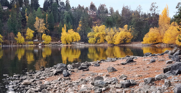 Fall colors on trees decorate the shore along the dike at HaydenLake.