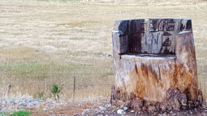 Carved tree stump on the dike overlooks the Richards' property.