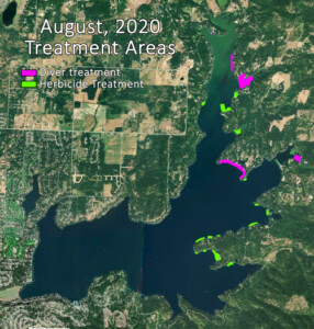 August 2020 Treatment Areas along east and north shores of the lake.