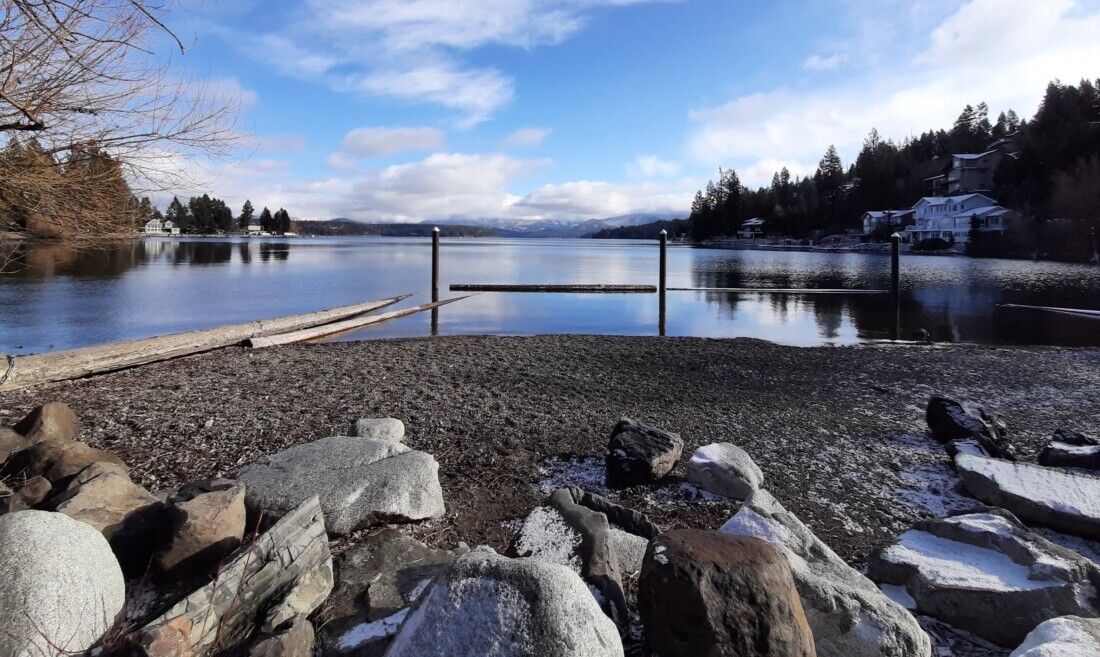 A view from the dike at 2/2020 low water.