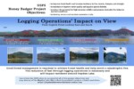 Vegetation Treatments' impact on view from English Point