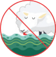 Don't Drink the water graphic , represented by a universal no over an image of a shep drinking water from a lake