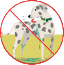 Do not let them lick their fur and paws after being in the water, represented by a universal no over the image of a dog picking themselves after being in the lake