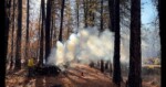 Brush pile burning in the IPNF.