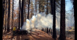 Brush pile burning in the IPNF.