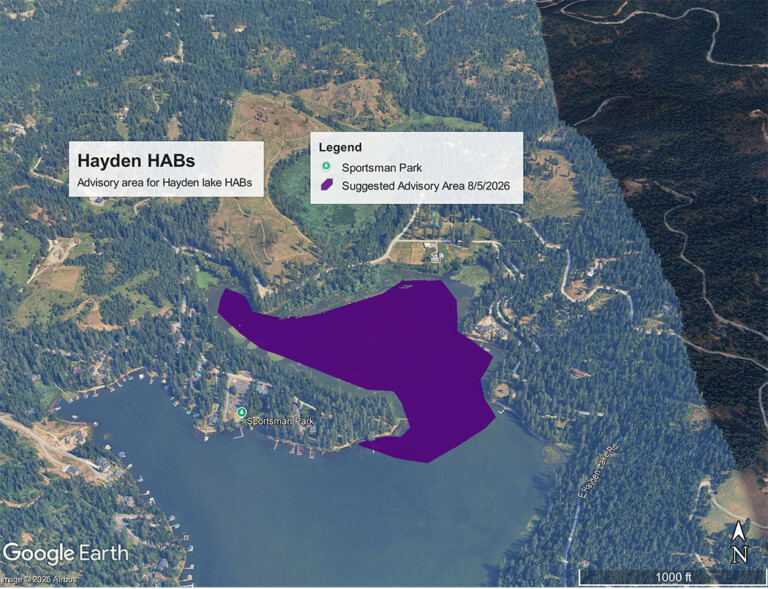Harmful Algal Bloom affected area map. North arm of Hayden Lake near Sportsman Park.